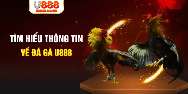 mu 88 đăng nhập roulette